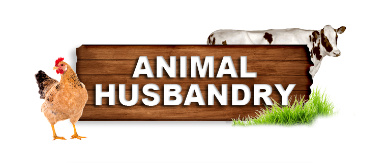 Kudumbashree | Animal Husbandry